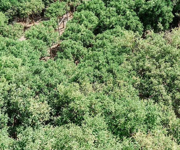 Il Giardino Degli Aranci Lägenhet